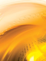 Light Yellow Closeup F