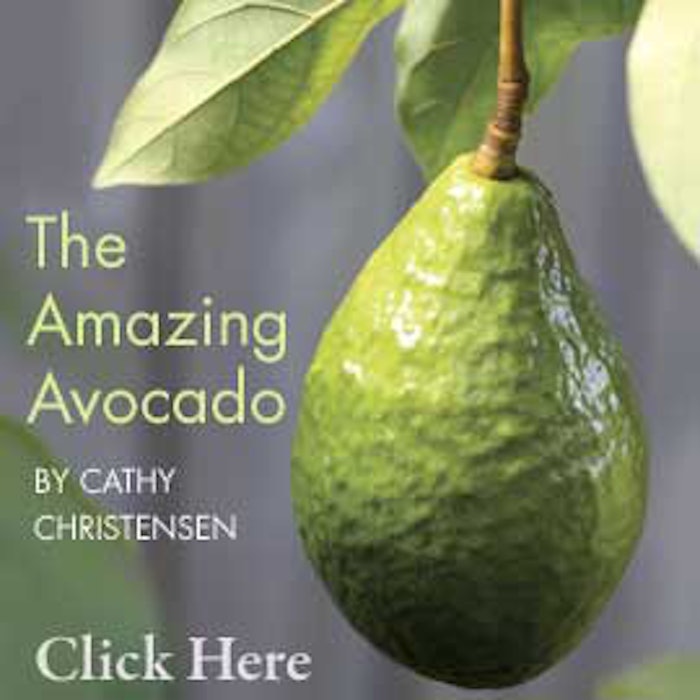 SI0703_christensen