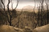 Burned Hillside Is