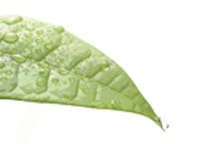 leaf_water_is