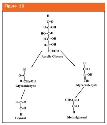 Fig15 Pugliese