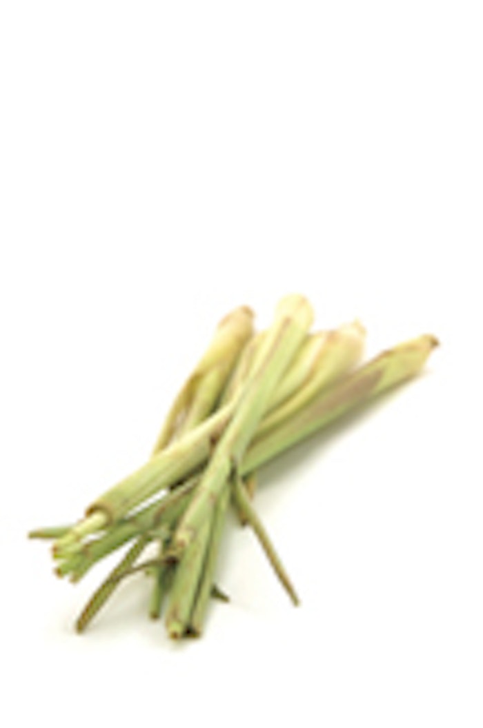 Lemon grass in isolated white