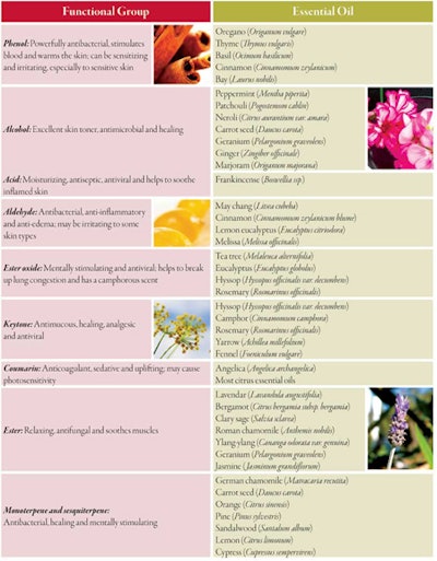 Web Si0806 Phelan Table