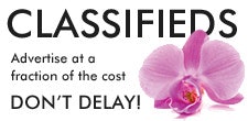 Advertise with classified ads