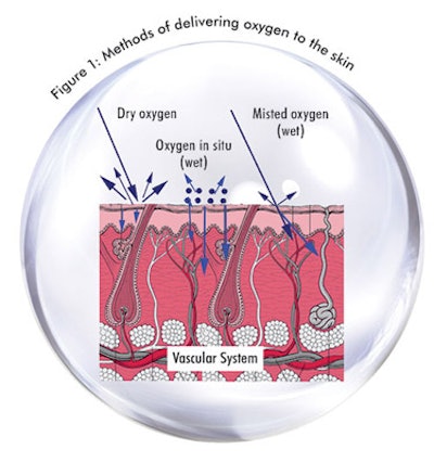 WEB_SI0809_Pugliese_Fig1