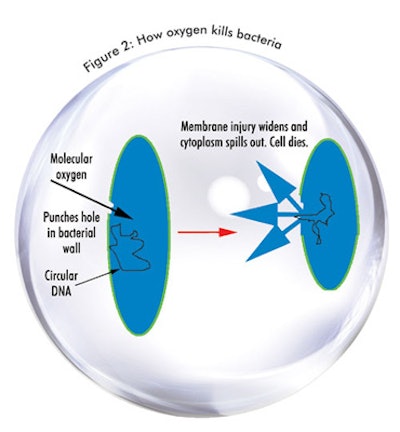 WEB_SI0809_Pugliese_Fig2