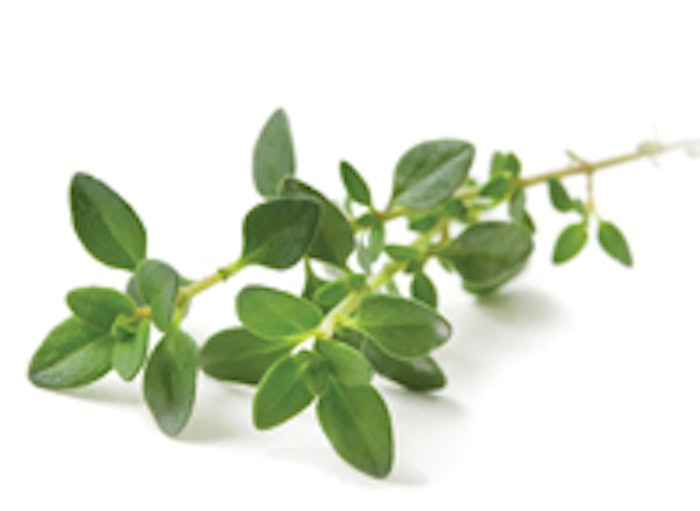 Thyme Isolated F
