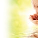 Woman Berries Water F