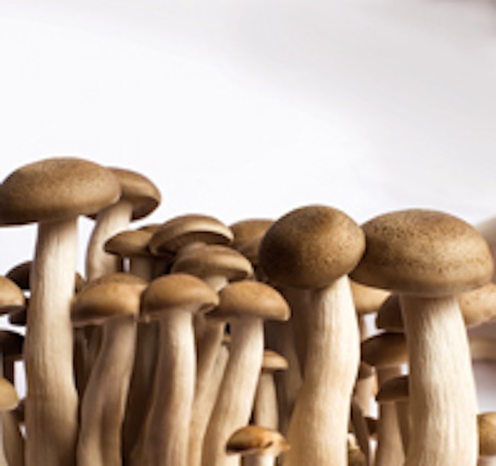 mushrooms_bunch_f1