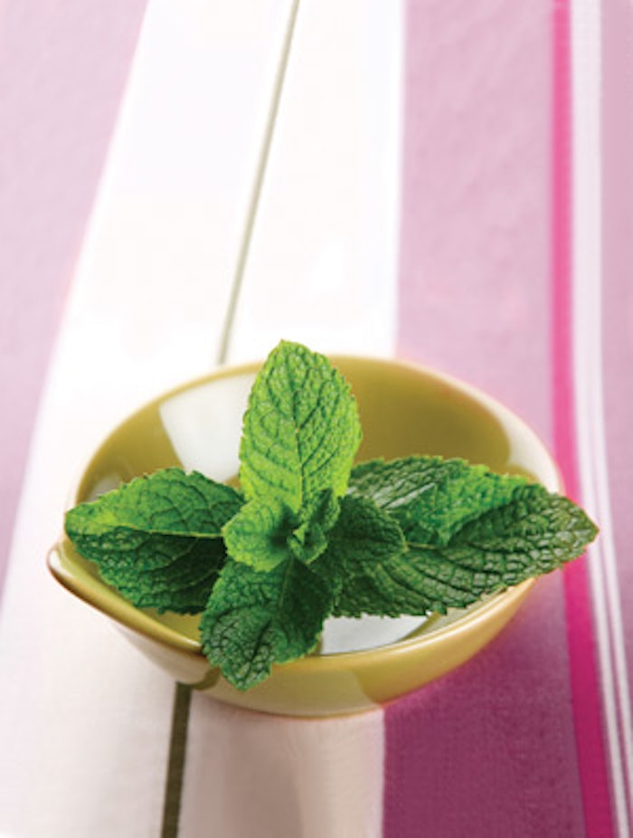 fresh_mint_bowl_is