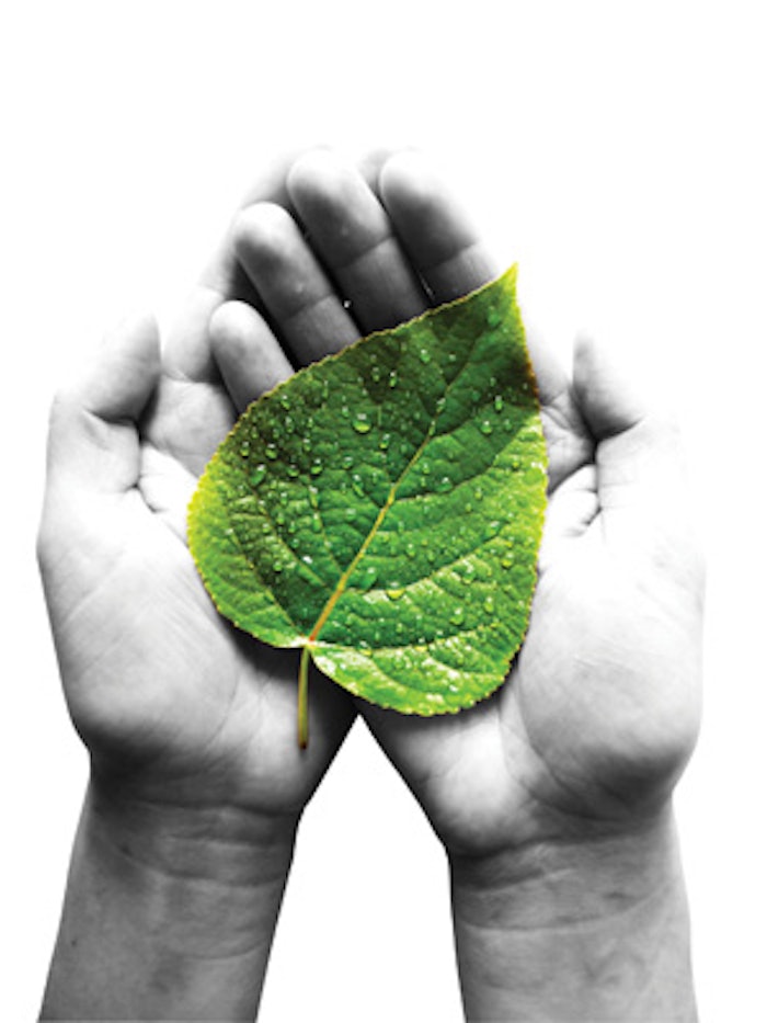 green-leaf-in-hands_f