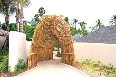 Destination_BambooArch