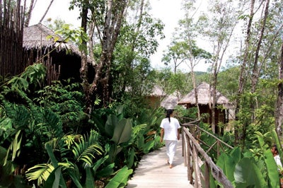 YaoNoi_TropicalEnvironment