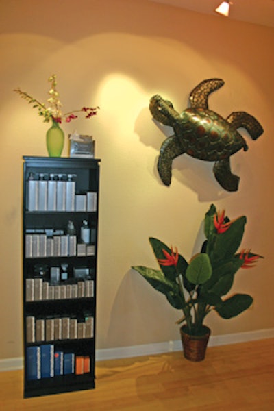 SI0812_Snapshot_Turtle