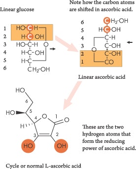 figures1