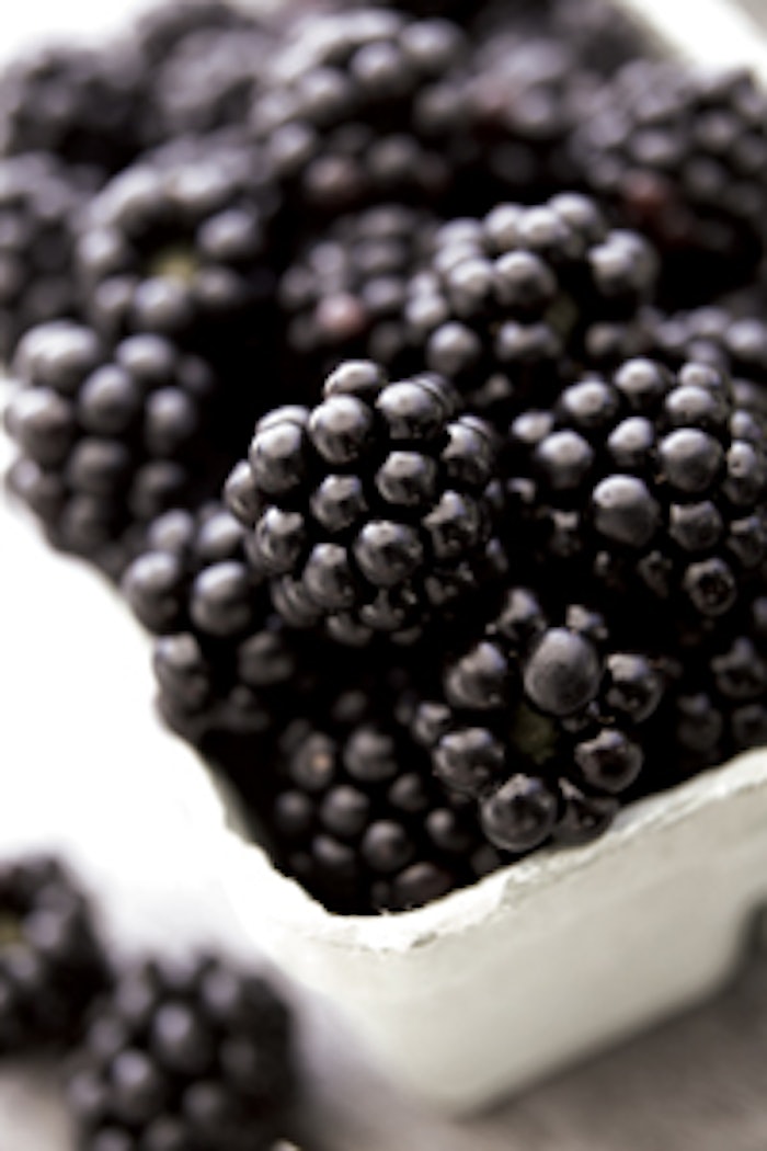 Bramble Berry - Definition and Cooking Information 