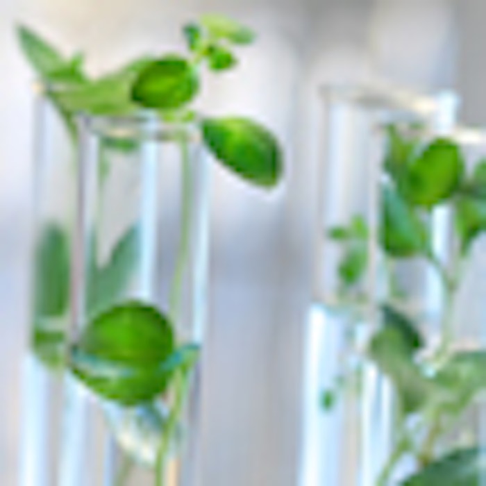 Test-Tubes_plants_f