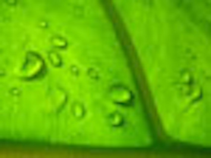 water_on_leaf_f
