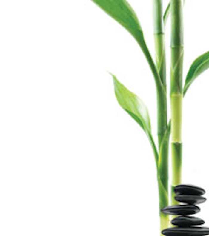 bamboo.main1