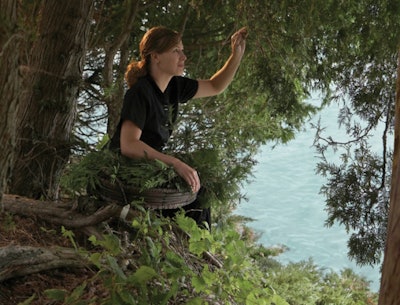 Aspira therapists gather cedar for the Cedars Massage