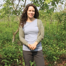 Linda Appel Lipsius of Teatulia