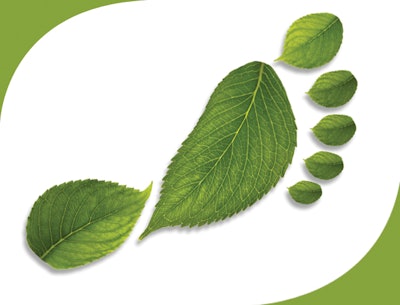 green leaf footprint