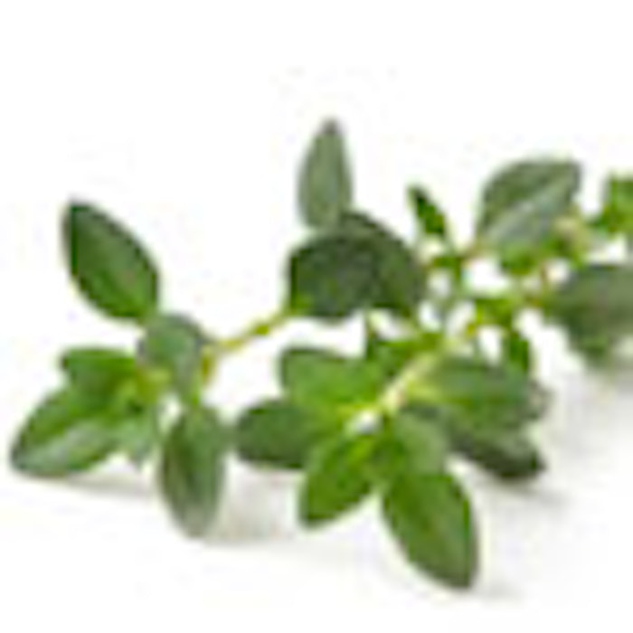 Thyme_isolated_f.thumb
