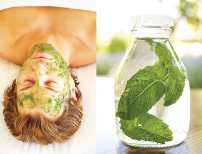 man facial, jar of herbs