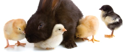 ISTOCKPHOTO.COM