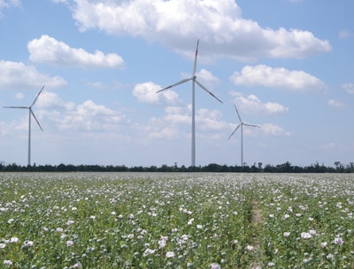 SPA PRODUCTS: Partners in Green