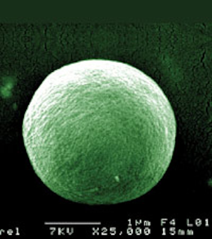 Chlorella vulgaris