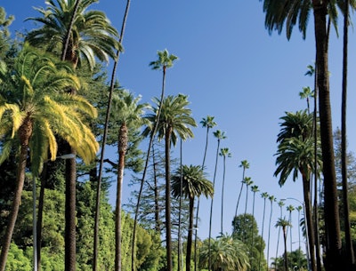 Spa Profile: Los Angeles Spas