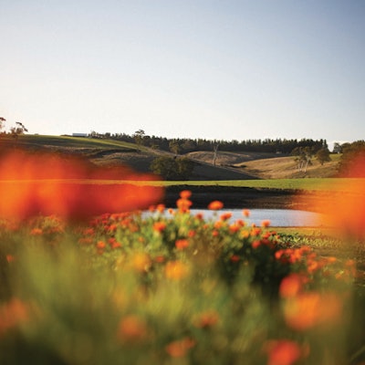 Tours of Jurlique’s certified organic farm are available every Wednesday, Thursday & Friday at 10 a.m. and last 90 minutes. Price: $20.00