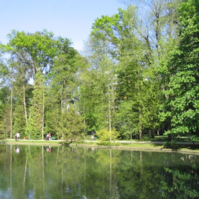 Trees