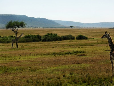 Africa