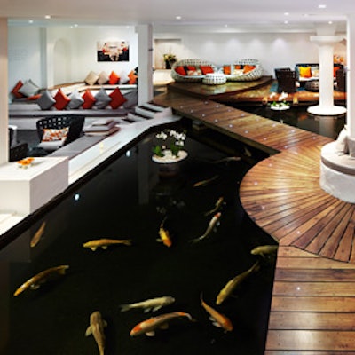 Koi Carp pool and lounge.