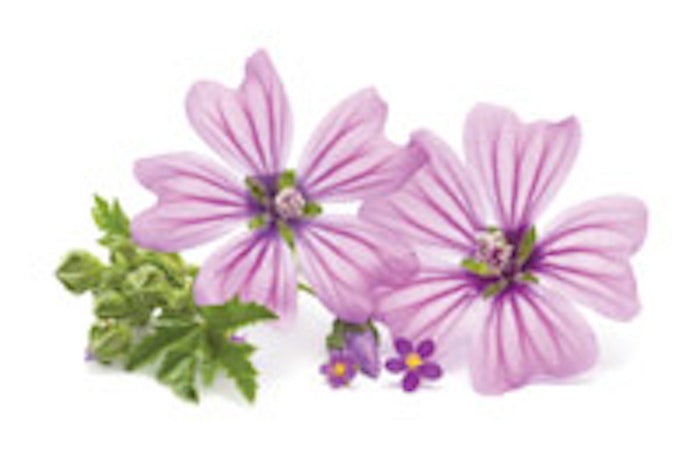 Fotolia_53814032_Subscripti_m