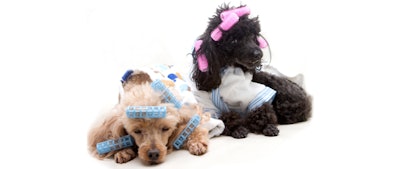 iStockphoto.com
