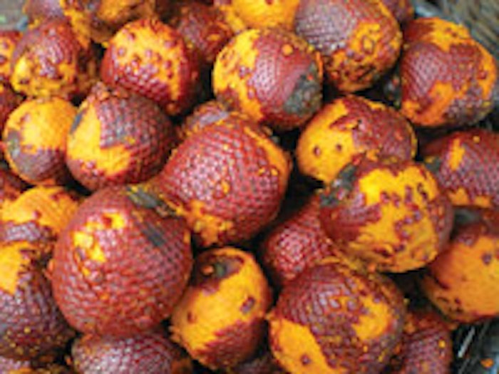 Buriti fruit
