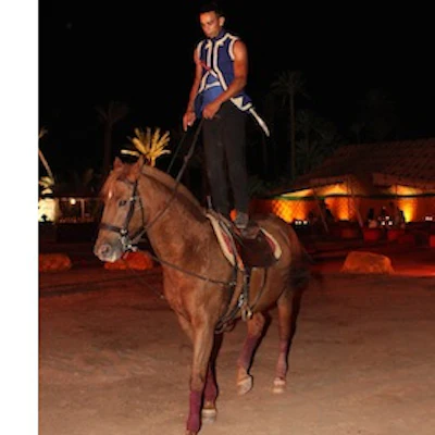 The GSWS Gala Dinner featured feats of Moroccan horsemanship.