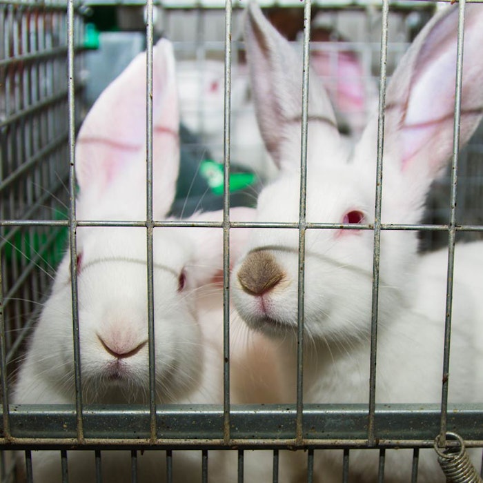 SI1507_News_AnimalsCaged_850