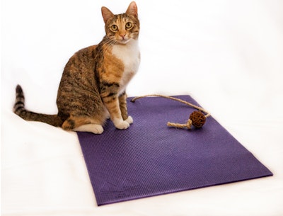 Yogacatmat