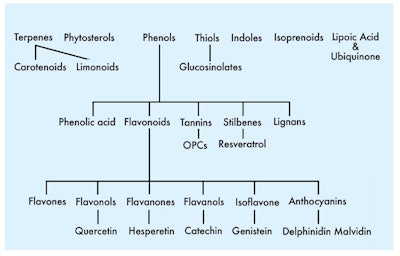 Carotenoids include the yellow, orange and red pigments in fruits and vegetables. Dark, green, leafy vegetables also are rich in the carotenoid beta-carotene, but its usual yellow color is masked by the green chlorophyll pigment.