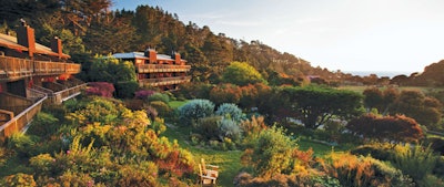 Image courtesy of Mendocino Center for Living Well