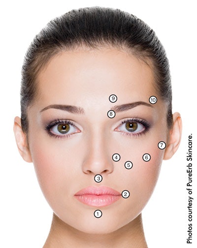 10+primary+facial+points