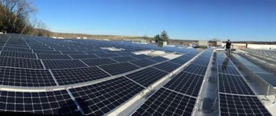 Image courtesy of Tweezerman