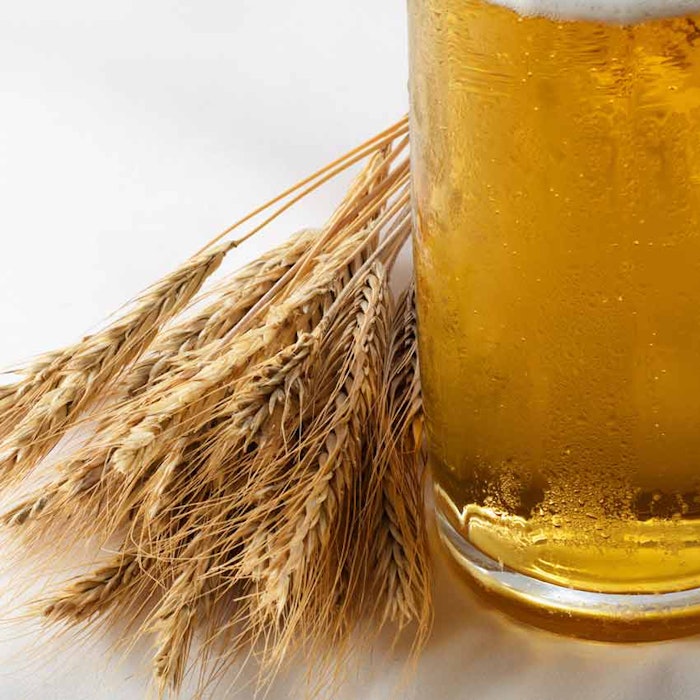 Barley-and-beer_bb