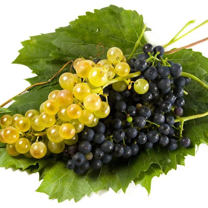 Bunch-of-grapes-on-leaves_b