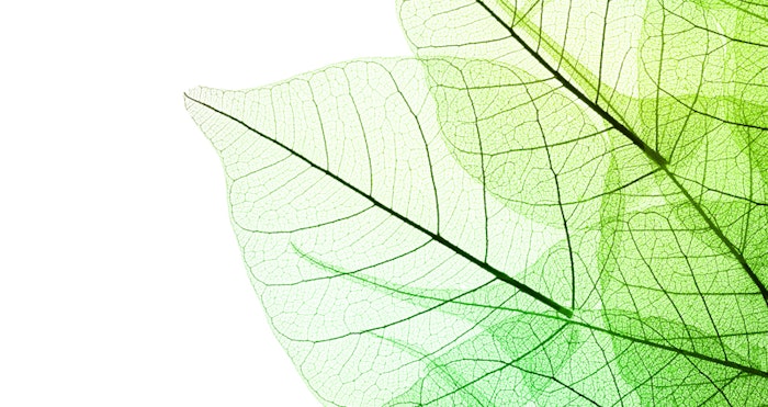 Image-01 800x424 px
