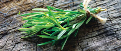 Rosemary
